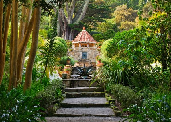 Stairs leading up to the shell house at Tresco Abbey Garden on Tresco in the Isles of Scilly. Taken by garden photographer Clive Nichols.