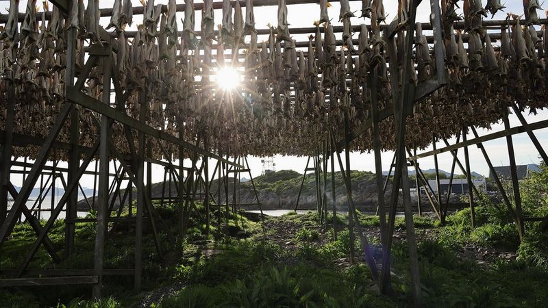 RF 24-240mm sample richard walch