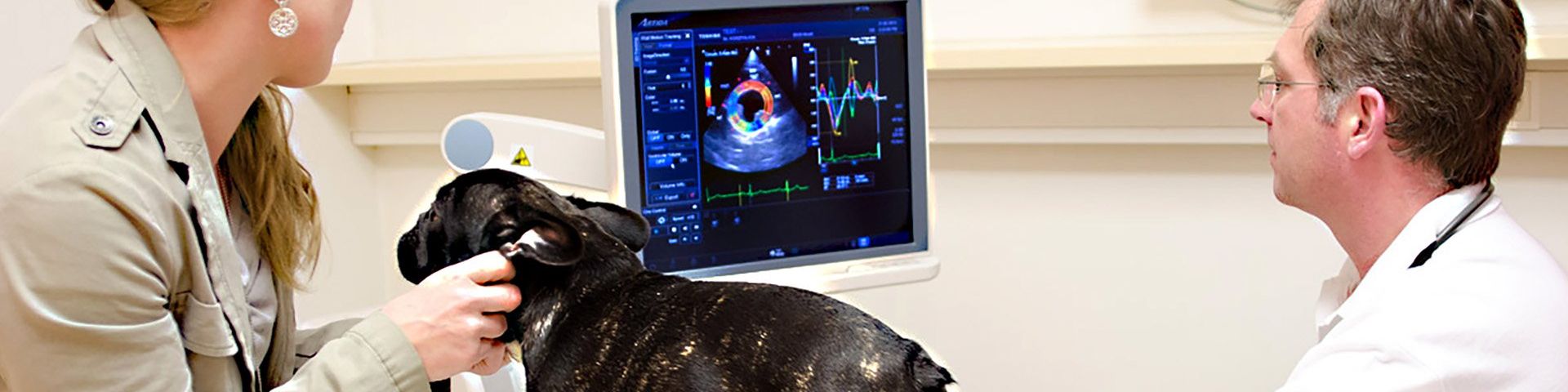 Dr Andreas Kosztolich diagnoses a dog using an Artida high-end Ultrasound system from Canon Medical (Image courtesy of Canon Medical Systems Europe VISIONS Magazine)