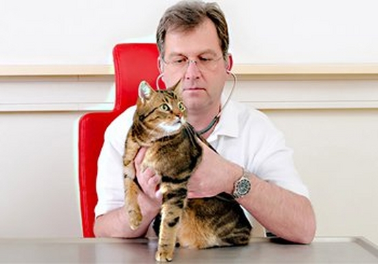 Dr Andreas Kosztolich holds a cat