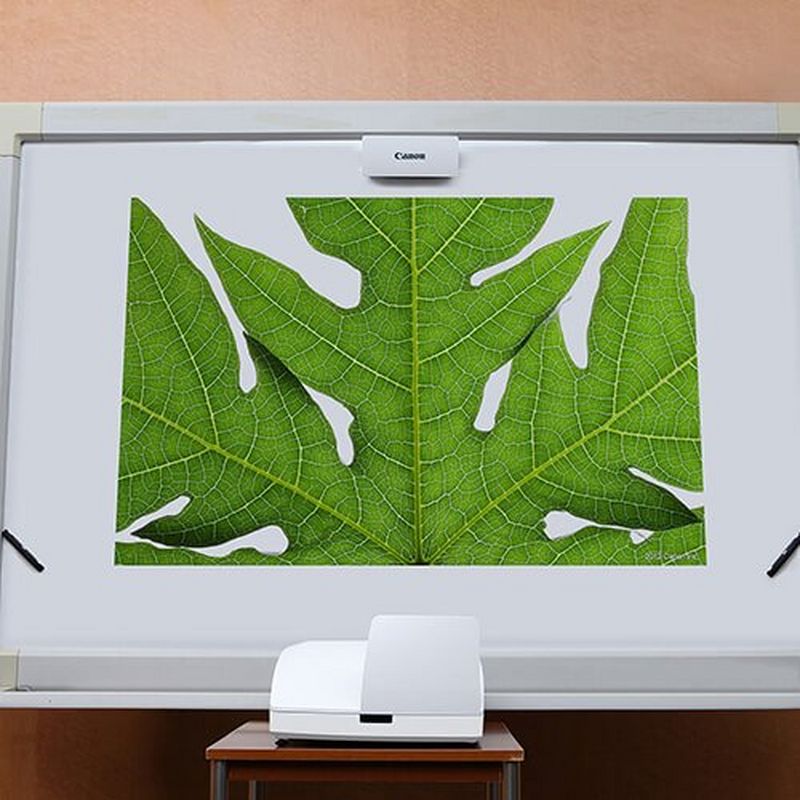 Short and Ultra short throw hero image projection leaf on screen