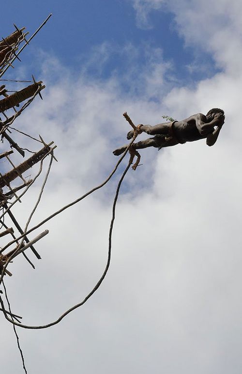 A Vanuatu tribesperson jumps from a ledge