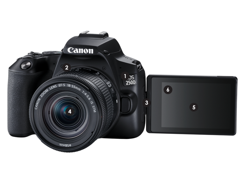 Comprar Canon EOS 250D amador 1680x1260 imagem em alta qualidade Comprar Canon EOS 250D