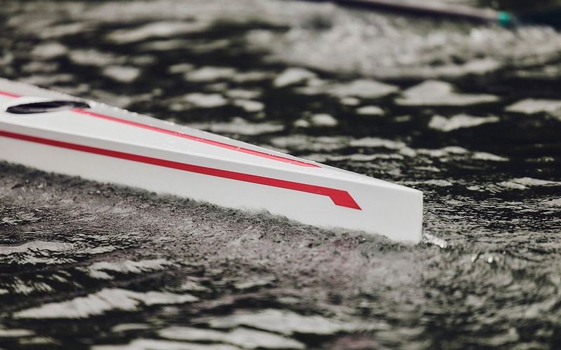 A practical, general purpose professional