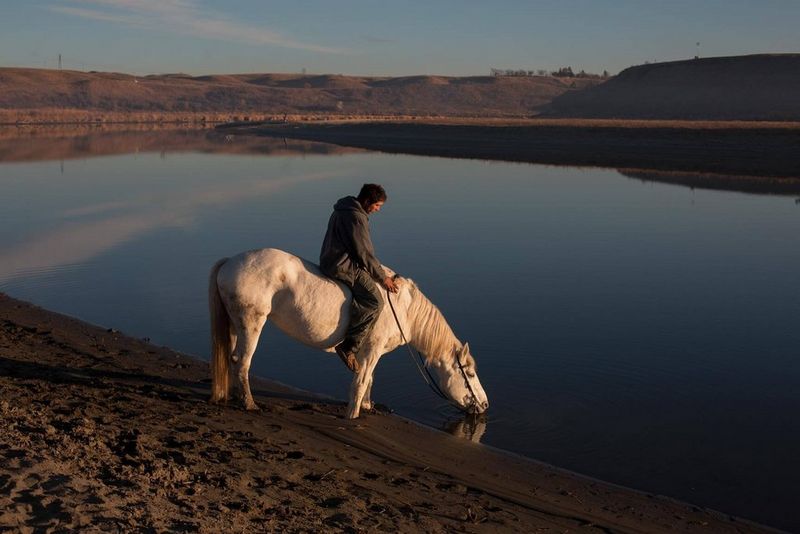 Horses are central in Sioux culture, described "like my brothers," by one youth.