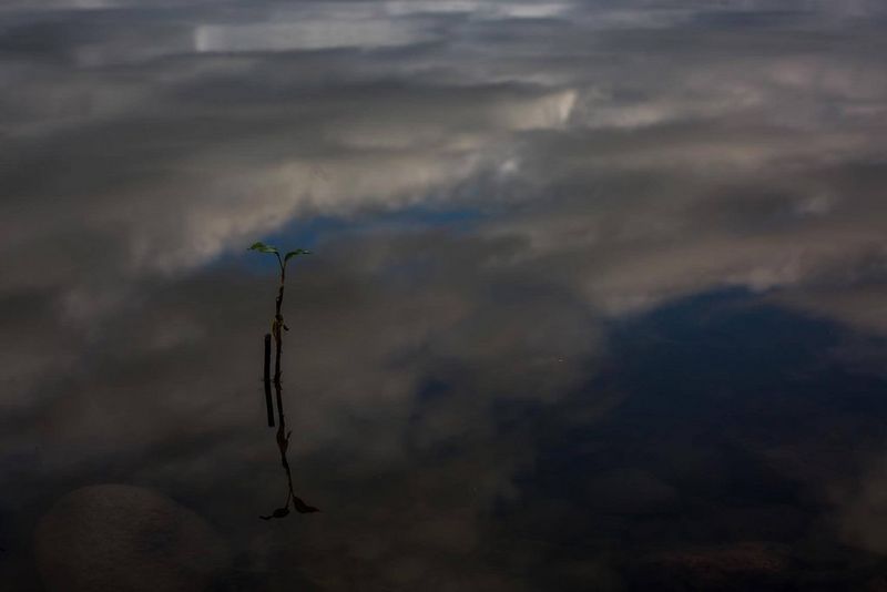 The Missouri River is the longest river in the United States and travels for over 2,300 miles through Montana, North Dakota, South Dakota, Nebraska, Iowa, Kansas and Missouri.