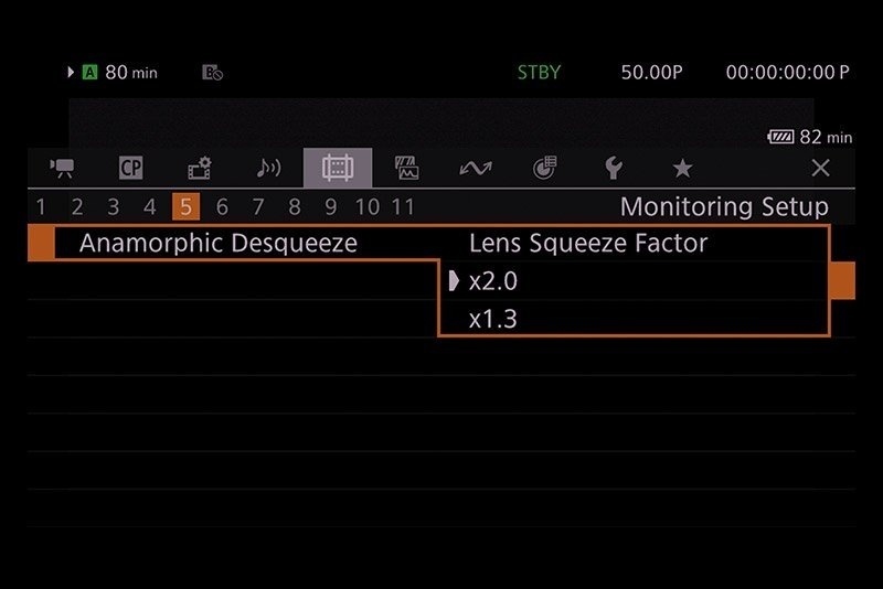 Anamorphic lens support