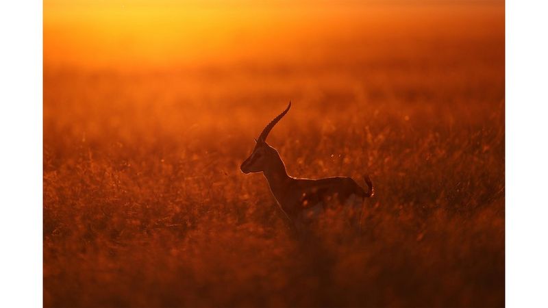 Fast continuous shooting