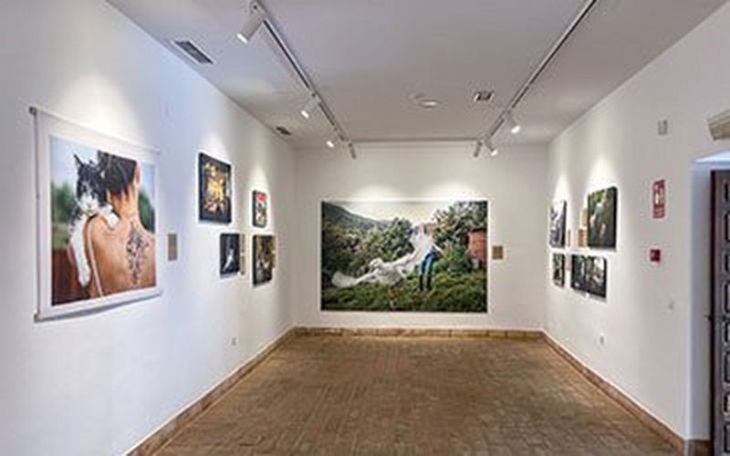 La exposición Armonía de Ana Palacios estará presente en la XVIII Bienal de Fotografía de Córdoba 