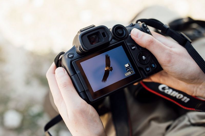 Canon EOS R7 – Selectorul punctelor de focalizare automată