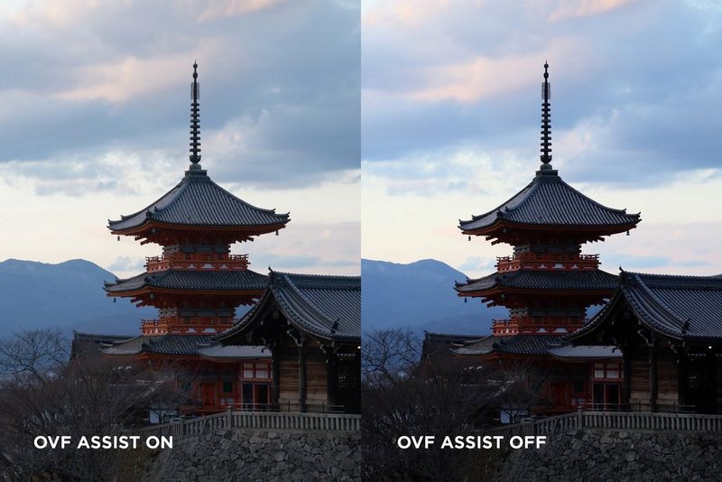 Canon EOS R10 – Comparaţie a asistenţei OVF