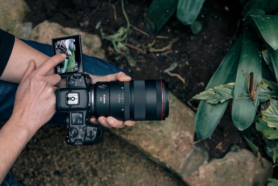 The best Canon RF lenses for video