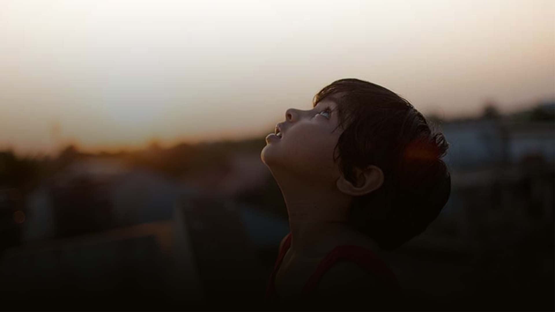 The head and shoulders of a small child in a red vest with short brown hair. The light suggests that the sun is setting. They have their head raised and are looking skywards