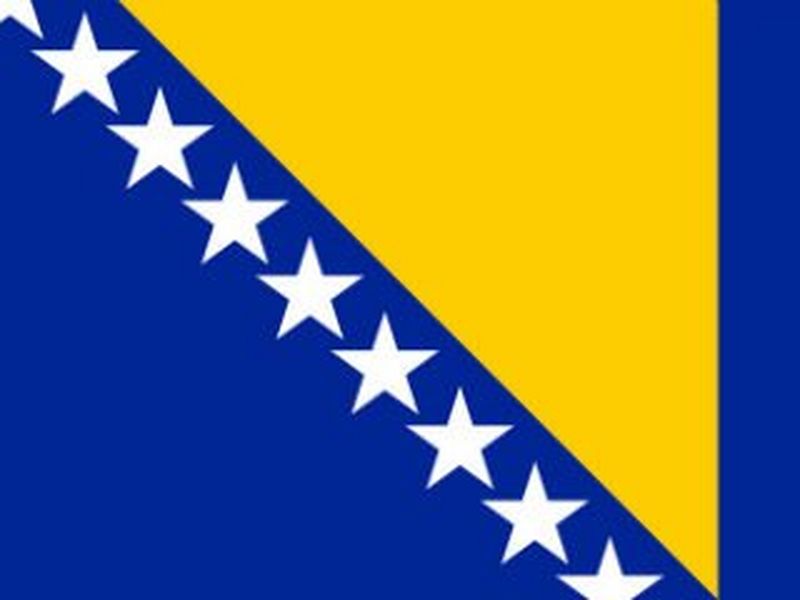 Bosnia - Herzegovina flag