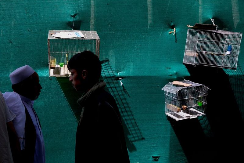 An Afghan bird market in Kabul photographed by Pascal Maitre on a Canon EOS 5D Mark IV.