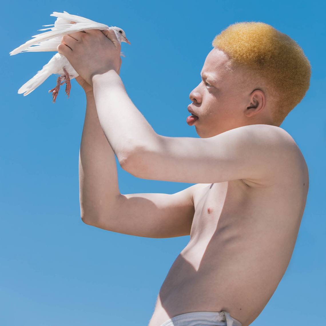 A male albino model holds a dove in front of a clear blue sky.