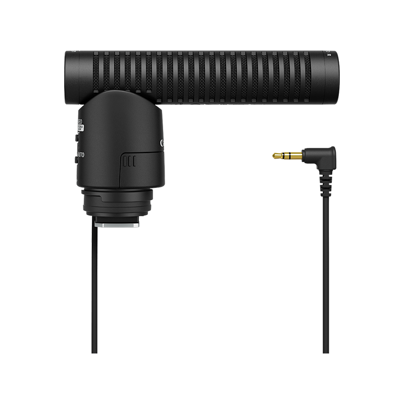 Canon Directional Stereo Microphone DM-E1