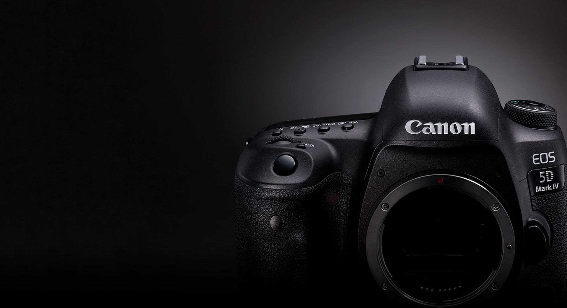querido cargando Inminente Canon EOS 5D Mark IV - Cámaras - Canon Spain