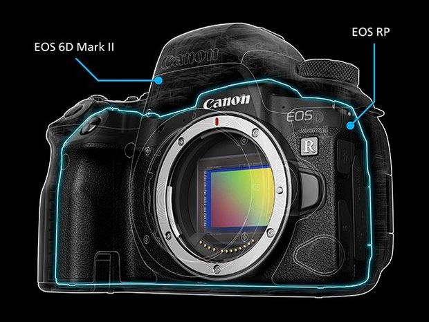 Canon EOS RP and Canon 6D comparison image