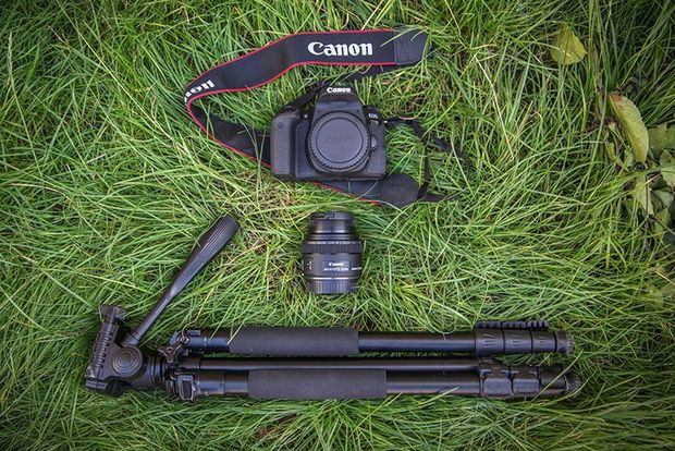 A Canon EOS 77D with a Canon EF-S 35mm f/2.8 Macro IS STM lens and a tripod lie on long grass.