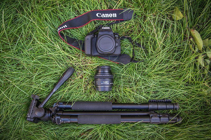 A Canon EOS 77D with a Canon EF-S 35mm f/2.8 Macro IS STM lens and a tripod lie on long grass.