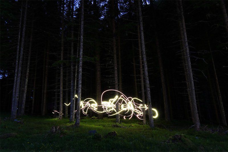 Long exposure light trails around tree trunks in a forest glade.