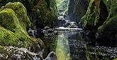A river flowing through a landscape of mossy rocks.