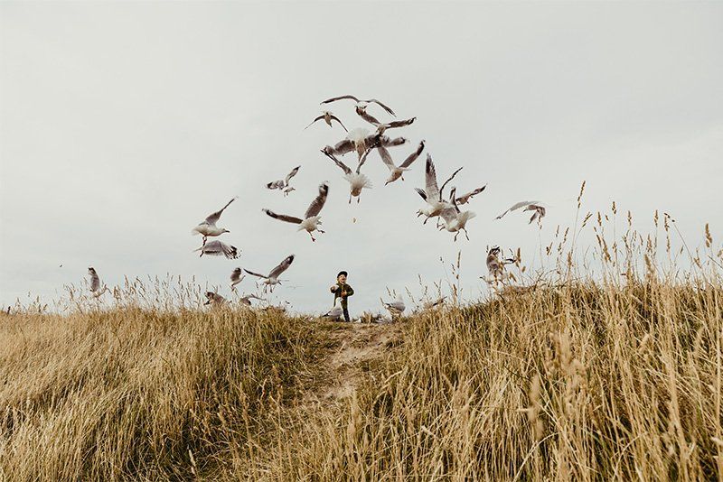 A small boy stands on top of a hill, seagulls flying in an arc above him. Photo by Christian Anderl.