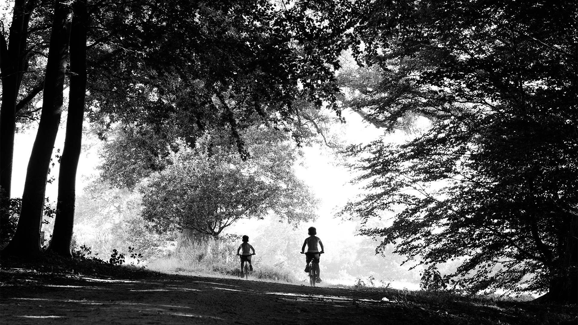 Children ride bikes through trees.