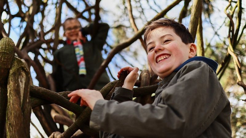 A brother and sister play in a huge tree, laughing. Taken on a Canon EOS M50 by Katja Gaskell.