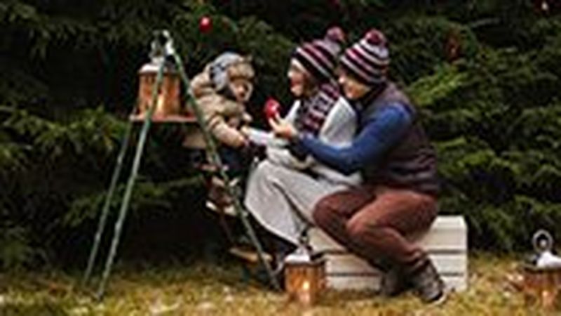 A man and woman with a small child sitting halfway up a small stepladder, in front of fir trees with a few decorations hanging from some branches.