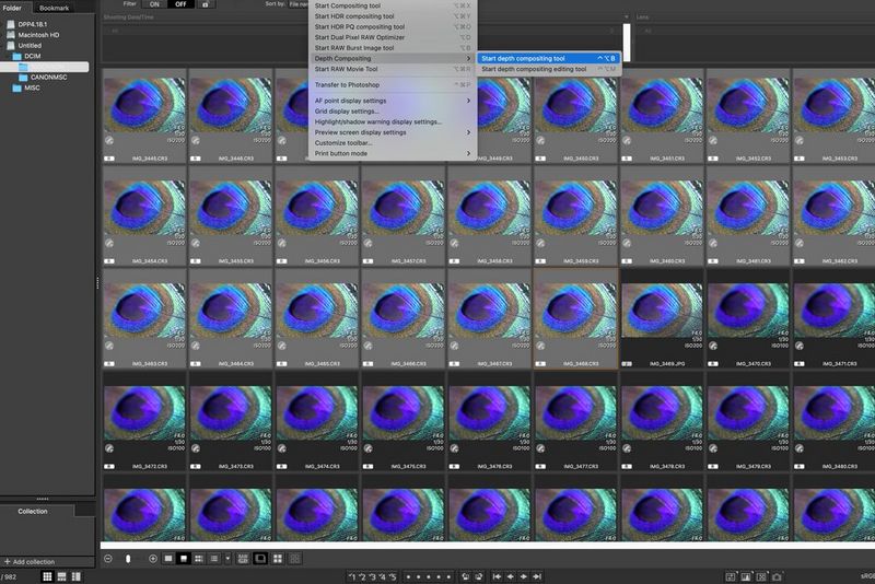 Programmatūras Digital Photo Professional (DPP) ekrānuzņēmums, kurā redzams salikta asuma dziļuma rīks, kas atlasīts izvēlnes joslā.