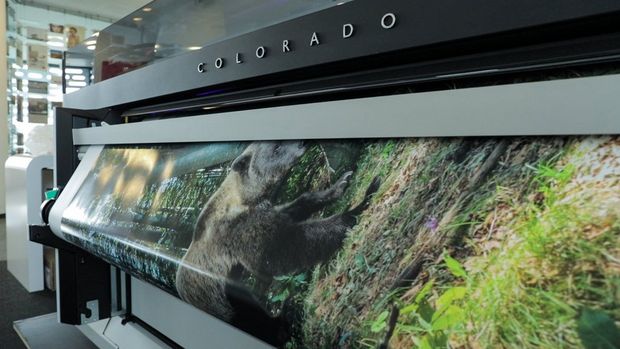 A Canon   Colorado 1640 printing out a large-scale shot of a brown bear in a forest.