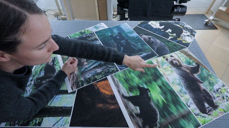 Christine Sonvilla looking through printed copies of photographs scattered on a table.