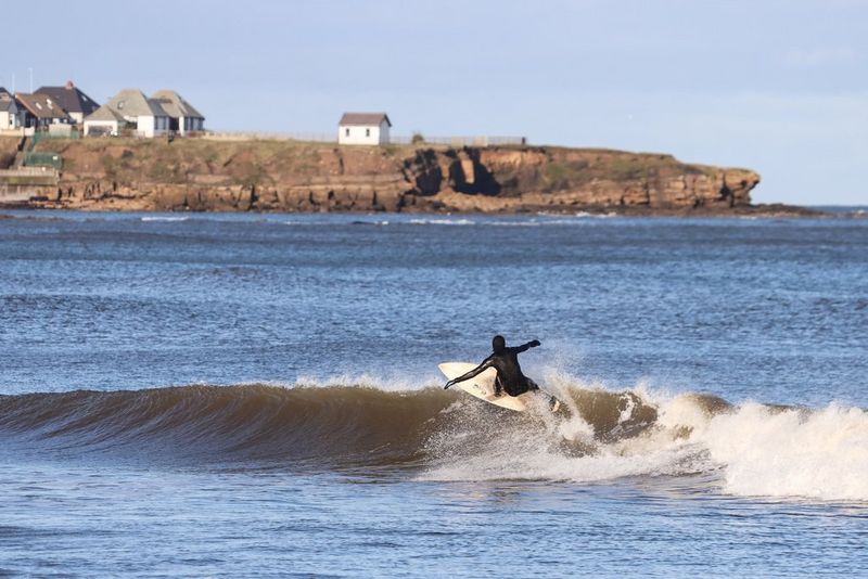 A sharp shot of a surfer in action.