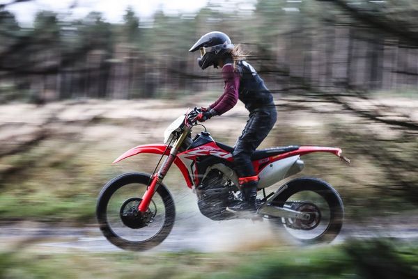 A sharp rider on a dirt-bike, with foreground branches and background scenery both blurred.