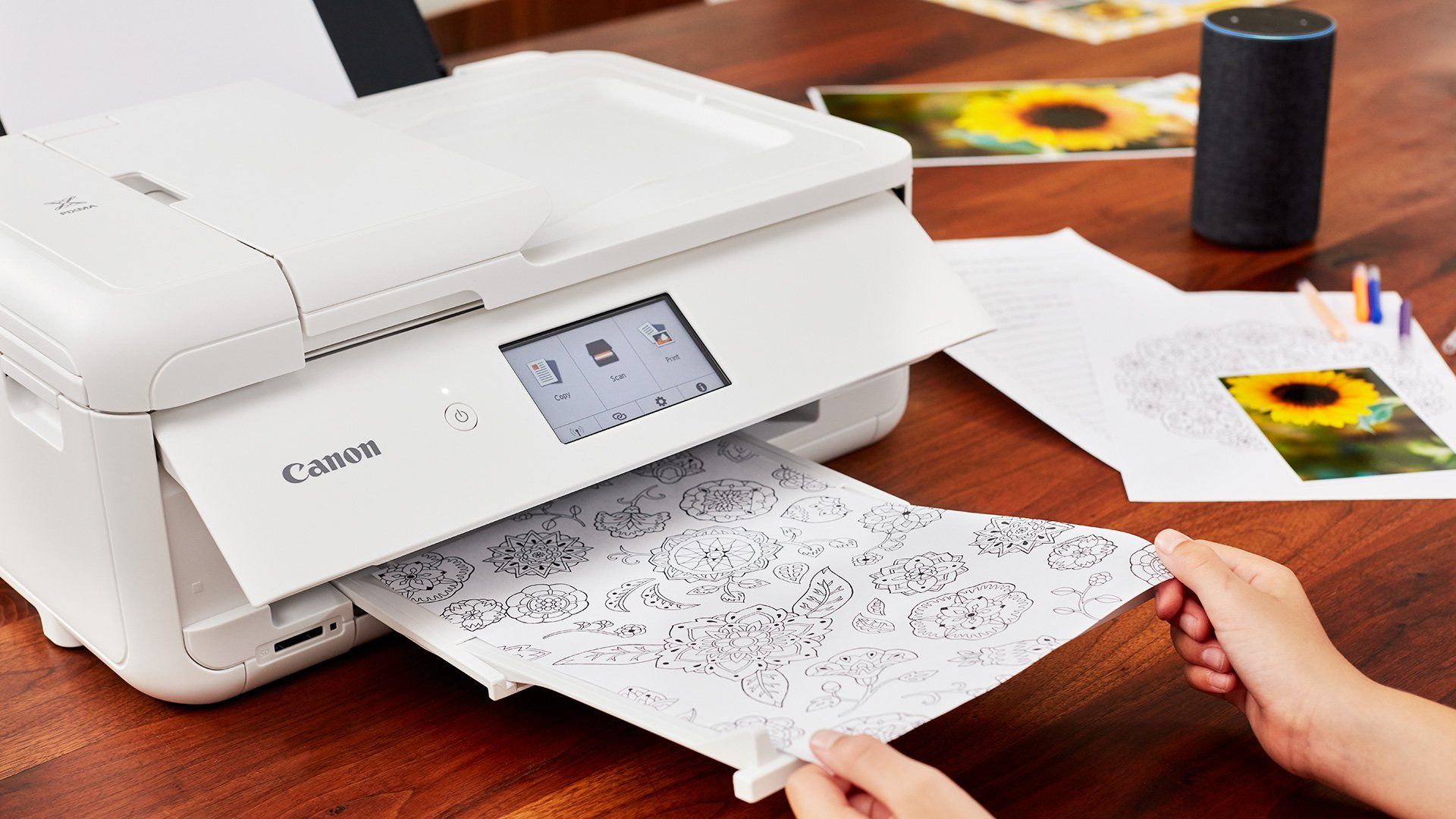 A sheet of colouring in images comes out of a white Canon PIXMA printer.