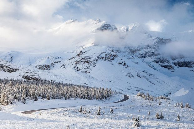 Mist-shrouded mountain peaks covered in snow with pine trees at their feet in Banff National Park.