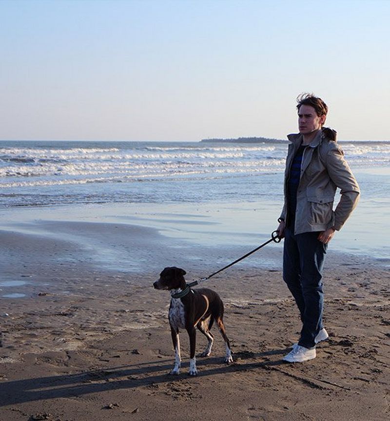 Seascape lifestyle dog