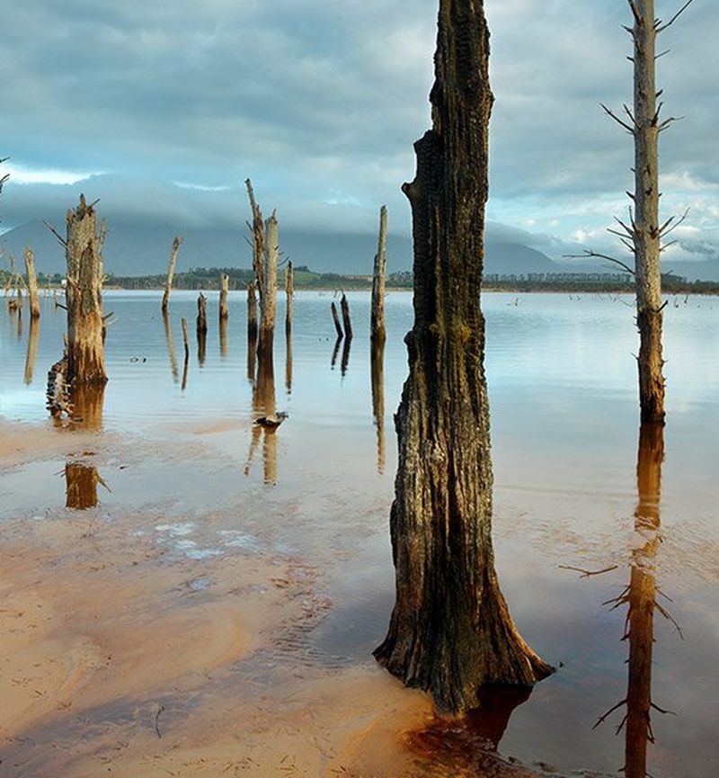 Tilt-Shift beach wood