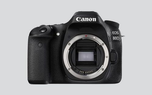 Canon 80D compatibility