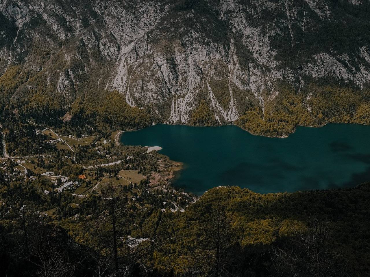 Your next creative steps in photography