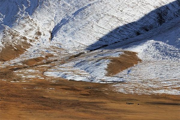 A landscape image shows the bottom of the Altai Mountains in Mongolia where the bottom of the snow meets grassland. 