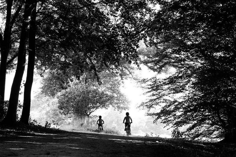 Canon Ambassador Helen Bartlett's black and white image of two children riding bikes beneath large trees.