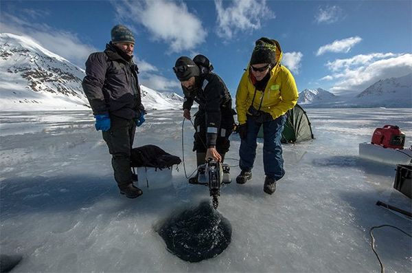 Three men in cold-weather clothing stand at the breathing hole in the ice; one of them is lowering a drone into the hole.