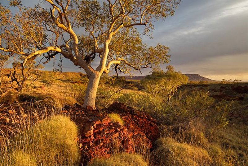 Best Canon lenses fo