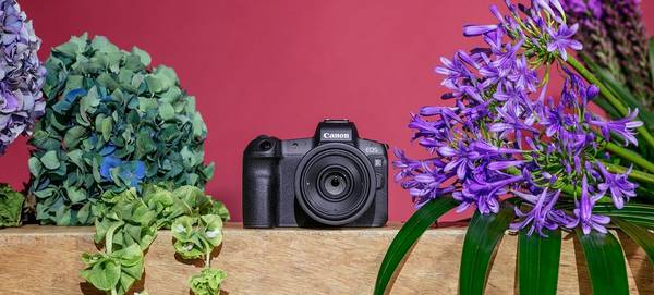 The Canon EOS R placed in a flowery still life. 