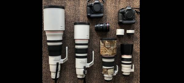 A selection of Canon cameras, lenses and accessories.