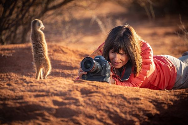 Wildlife photographer Marina Cano lies on the ground using a Canon EOS-1D X Mark III to take a close-up of a meerkat in the Kalahari Desert.
