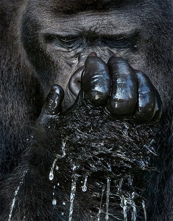 tim_flach_image4_right
